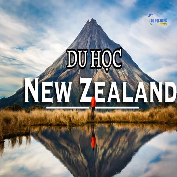 Tìm hiểu trung tâm tư vấn du học New Zealand tại Hải Phòng