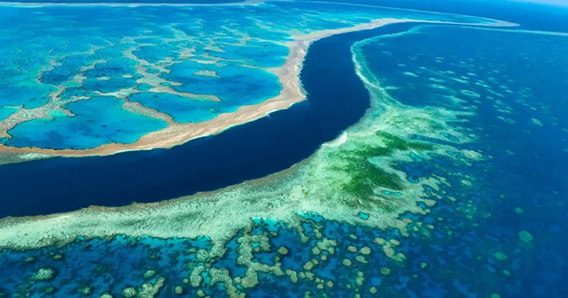 nuoc-uc-co-gi-dac-biet Great Barrier Reef - Hệ thống san hô lớn nhất thế giới