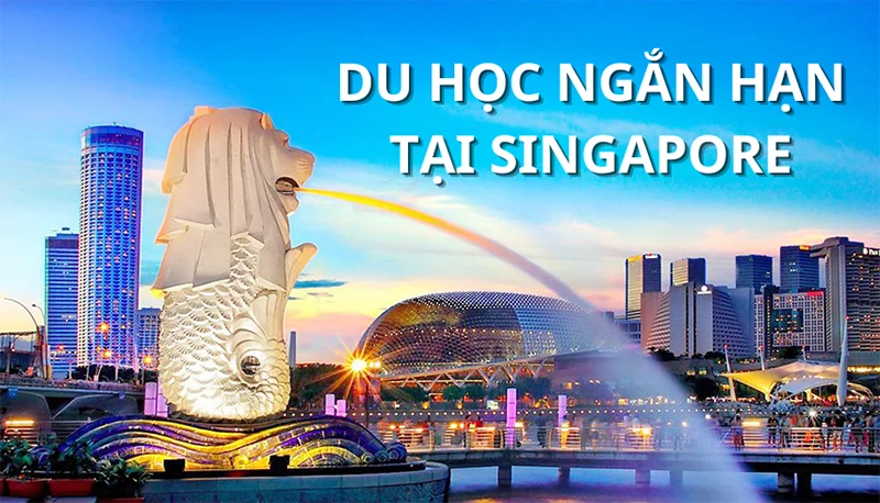du-hoc-singapore-ngan-han là gì