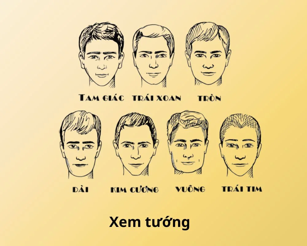 Lụa chọn xem tướng